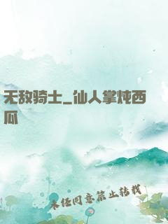 无敌骑士