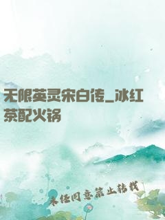 无限英灵宋白传