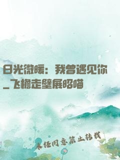 日光微暖：我曾遇见你