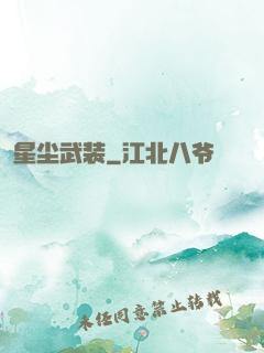 星尘武装