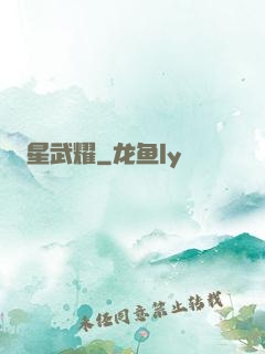 星武耀