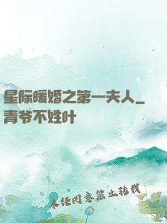 星际暖婚之第一夫人
