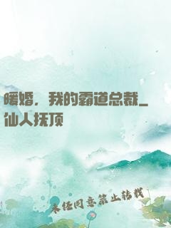 暖婚，我的霸道总裁