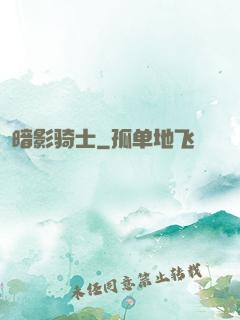 暗影骑士
