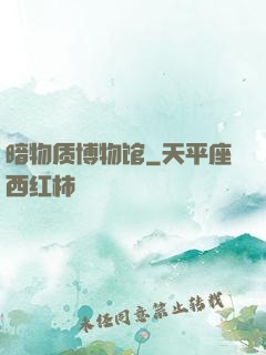 暗物质博物馆