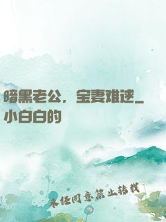 暗黑老公，宝妻难逑