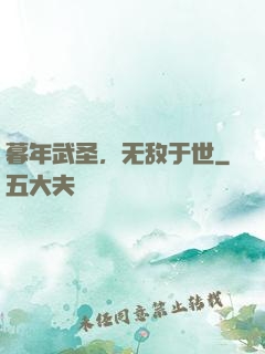 暮年武圣，无敌于世