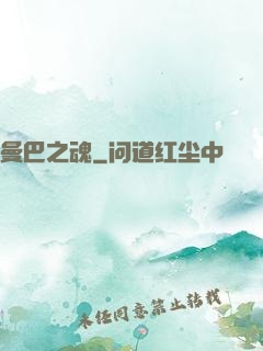 曼巴之魂