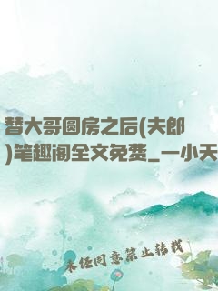 替大哥圆房之后(夫郎)笔趣阁全文免费