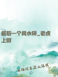 最后一个风水师