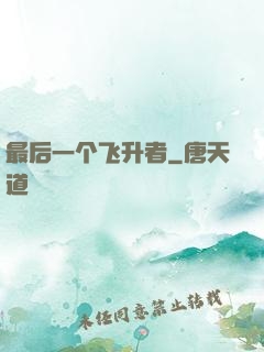 最后一个飞升者