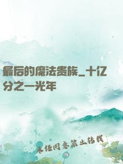 最后的魔法贵族