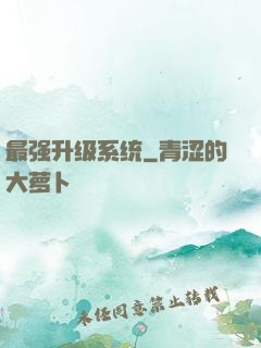 最强升级系统