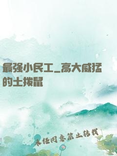 最强小民工
