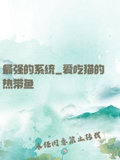 最强的系统
