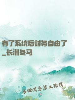 有了系统后财务自由了