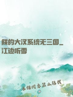朕的大汉系统无三国