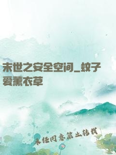 末世之安全空间