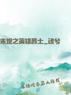 末世之英雄爵士