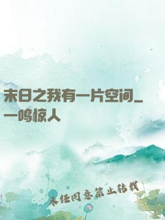 末日之我有一片空间
