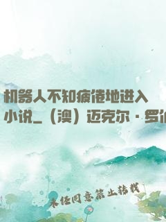 机器人不知疲倦地进入小说