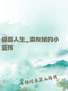 极品人生