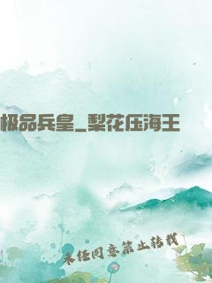 极品兵皇