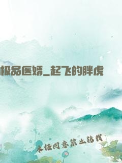 极品医婿