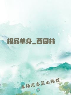 极品单身