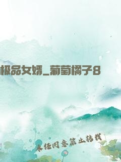 极品女婿