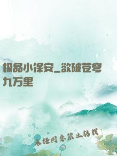 极品小保安