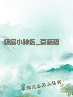极品小神医