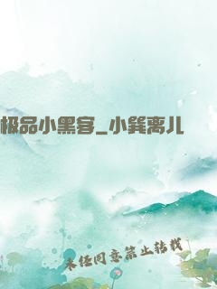 极品小黑客