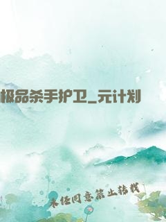 极品杀手护卫