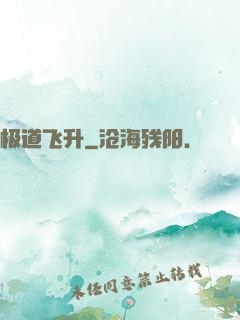 极道飞升