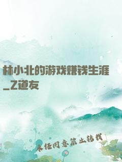 林小北的游戏赚钱生涯