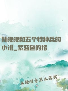 林晚晚和五个特种兵的小说