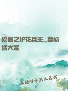 校园之护花兵王