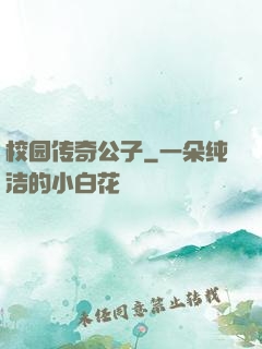 校园传奇公子