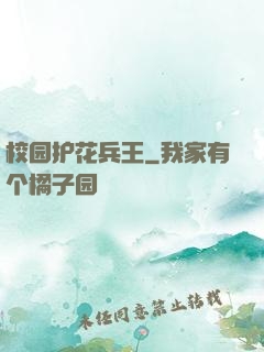 校园护花兵王