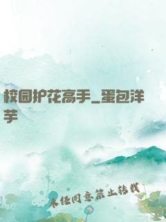 校园护花高手