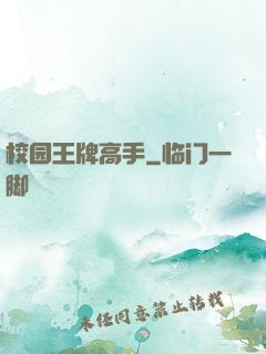 校园王牌高手