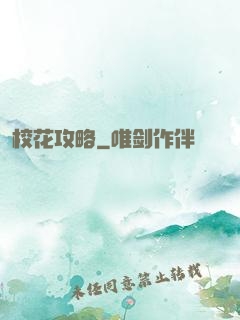 校花攻略