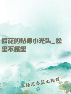 校花的贴身小光头
