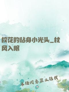 校花的贴身小光头