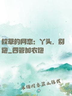 校草的网恋：丫头，别跑