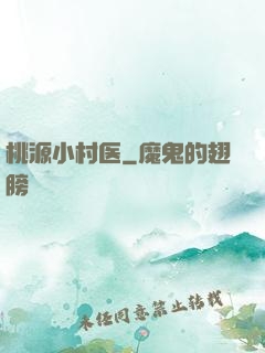 桃源小村医