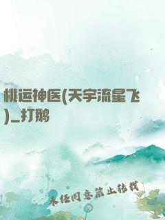 桃运神医(天宇流星飞)