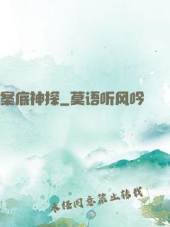案底神探