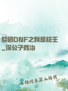 梦回DNF之我是枪王